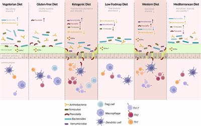 Unveiling the dynamics of gut microbial interactions: a review of dietary impact and precision nutrition in gastrointestinal health